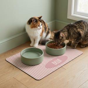 Custom pet placemat with name in soft pastel stripe design, non slip dog and cat feeding mat for food and water bowls, waterproof surface helps catch spills and crumbs while protecting floors. Available in 7 color options and 2 sizes, perfect for stylish pet feeding area, modern home decor, cat mat, dog bowl mat, personalized pet accessories.