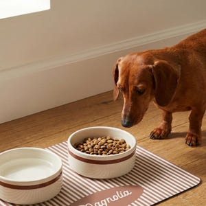 Looking for a personalized pet placemat for cats or dogs? This custom name feeding mat is perfect for keeping floors clean, organizing bowls and adding a stylish touch to your pet feeding area. Neutral pet decor. Customizable pet gifts for dogs and cats feeding stations.