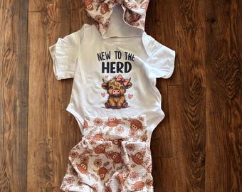 Nuova arrivata nella mandria: una mucca delle Highlands.