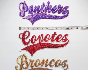 Parche de lentejuelas, parche de los Broncos, parche de los Panthers, parche de los Coyotes, parches recuperados, para coser, suministros para manualidades, parches de equipo, equipos deportivos