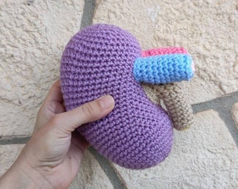 Kidney, Crochet Organ, Human body, Automatical, Anatomy, Transplant Kidney, Plush Toy, Stuffie, Amigurumi