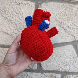 Human Heart, Crochet Organ, Anatomical Heart, Human Anatomy, Patient Gift, Doctor Gift, Awareness, Educational Toys