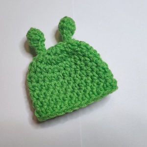 May include: Green crocheted hat with two small green bumps on top. The hat is made with a textured stitch.