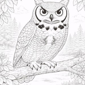 Peut inclure: Illustration en noir et blanc d'un grand-duc d'Am&eacute;rique perch&eacute; sur une branche. Le hibou a de grands yeux ronds et des touffes d'oreilles. L'arri&egrave;re-plan pr&eacute;sente une sc&egrave;ne de for&ecirc;t avec des arbres et du feuillage, parfaite pour colorier.