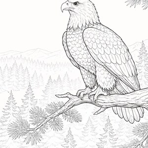 Peut inclure: Illustration en noir et blanc d'un aigle &agrave; t&ecirc;te blanche perch&eacute; sur une branche d'arbre. L'aigle est tourn&eacute; vers la gauche, avec son bec pointu et ses plumes d&eacute;taill&eacute;es visibles. L'arri&egrave;re-plan pr&eacute;sente une for&ecirc;t et des montagnes.