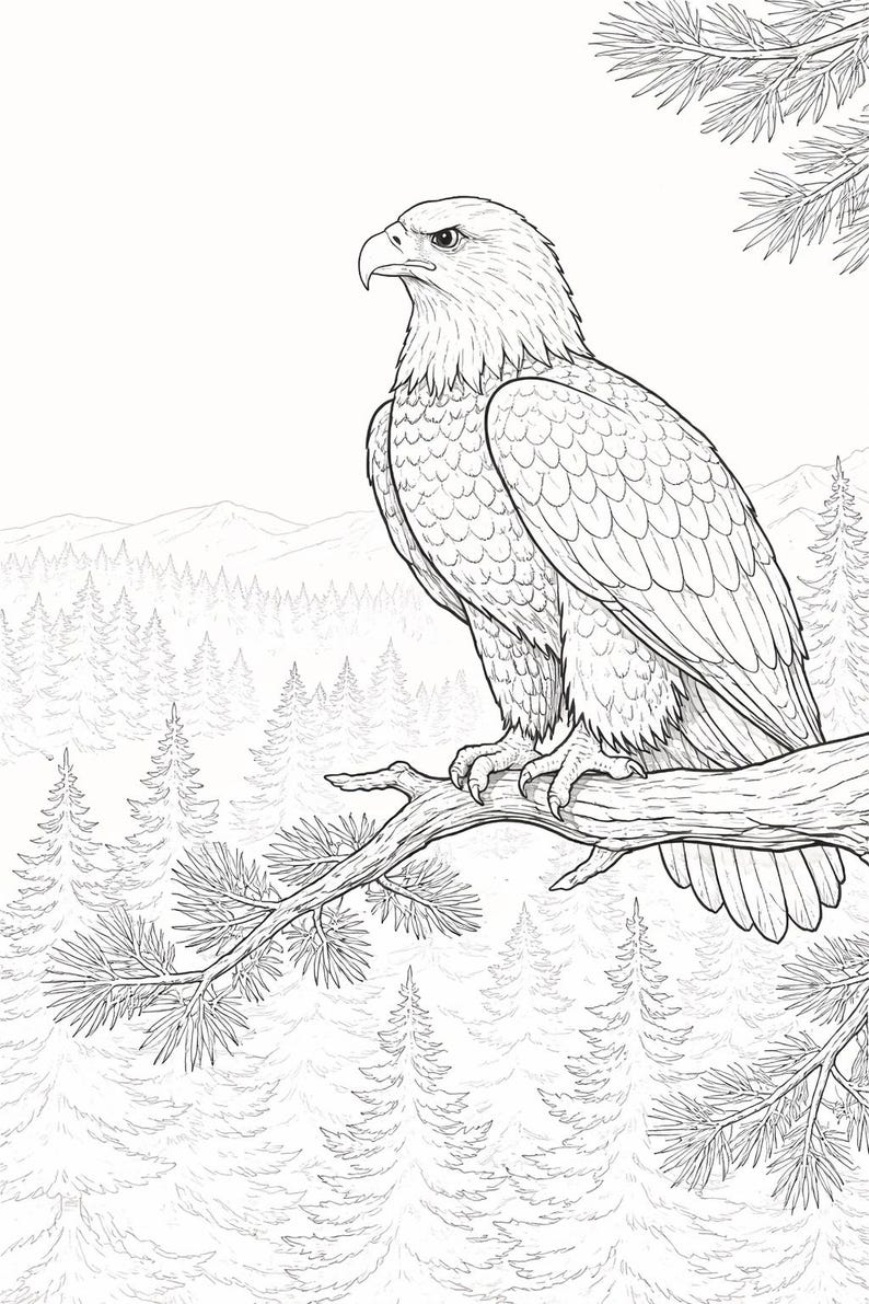 Peut inclure: Illustration en noir et blanc d'un aigle &agrave; t&ecirc;te blanche perch&eacute; sur une branche d'arbre. L'aigle est tourn&eacute; vers la gauche, avec son bec pointu et ses plumes d&eacute;taill&eacute;es visibles. L'arri&egrave;re-plan pr&eacute;sente une for&ecirc;t et des montagnes.