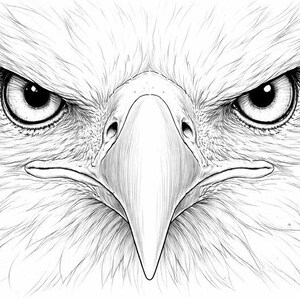 Peut inclure: Illustration en noir et blanc d'un visage d'aigle, mettant l'accent sur les yeux et le bec. L'&oelig;uvre met en valeur le regard intense et les traits ac&eacute;r&eacute;s de l'oiseau, avec des d&eacute;tails de plumes complexes.
