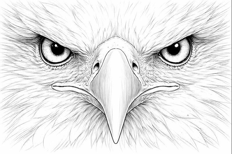 Peut inclure: Illustration en noir et blanc d'un visage d'aigle, mettant l'accent sur les yeux et le bec. L'&oelig;uvre met en valeur le regard intense et les traits ac&eacute;r&eacute;s de l'oiseau, avec des d&eacute;tails de plumes complexes.