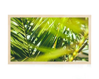 Frame Art TV, Frame Art TV, Art for Samsung Frame TV, Palm Art Print, Tropical Art Frame Tv, Digital Art Frame Tv, Samsung Art Frame, Green