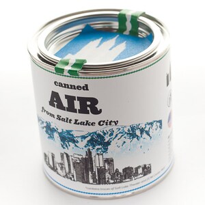Pu&ograve; includere: Una lattina di metallo bianca con un'etichetta verde e blu che recita "canned AIR from Salt Lake City". La lattina ha un'immagine blu e bianca di uno skyline cittadino e montagne.