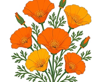 Kalifornisk vallmo PNG, sublimeringsdesign för orange vildblomsbukett, blommönster