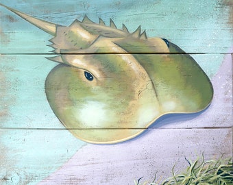 Horseshoe Crab – Giclee Print