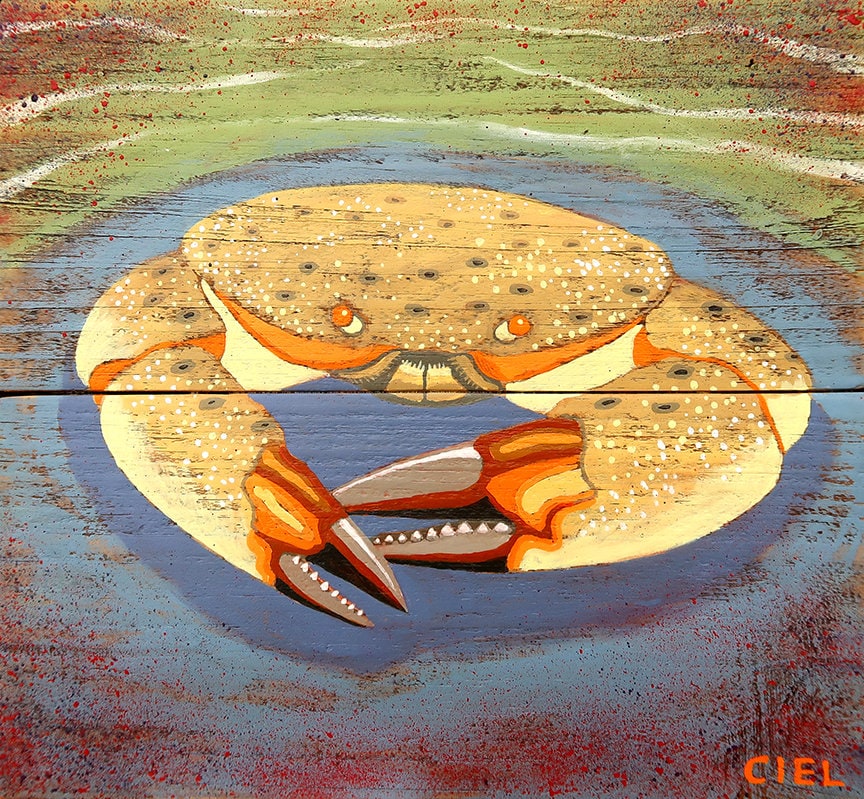 stone-crab-giclee-print-etsy