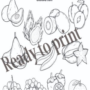 Fruit Coloring Pages for Kids – 10 Printable Fruit Sheets – Toddler & Preschool Activity – Fun Educational Download