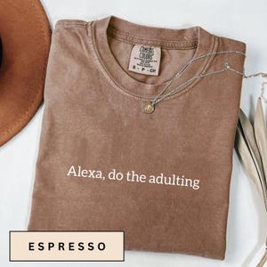 Maglietta da adulto Comfort Colors Alexa: maglietta con meme sarcastico divertente