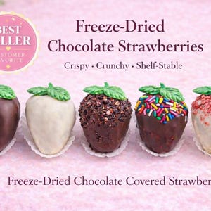 Freeze-Dried Chocolate Strawberries | Crispy, Crunchy, Shelf-Stable Dessert Gift