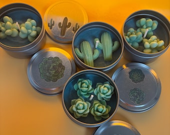 Vela de cactus Sueños del Desierto