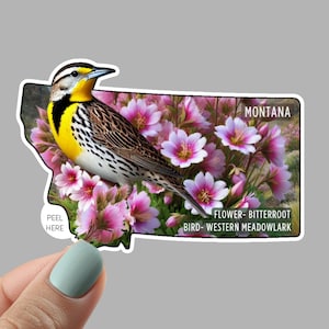 May include: A sticker in the shape of Montana features a Western Meadowlark bird perched among pink Bitterroot flowers. The sticker includes the text "MONTANA", "FLOWER- BITTERROOT", and "BIRD- WESTERN MEADOWLARK". The sticker also has the text "PEEL HERE".