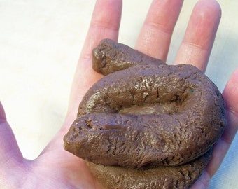 May include: A brown and black realistic-looking poop emoji made of chocolate.