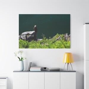 Canvas Print, Alaskan Bald Eagle, Juneau Alaska Wall Art Decor, Wildlife Nature Photography, Cabin Home Decor, Office Wall Hanging, Bird