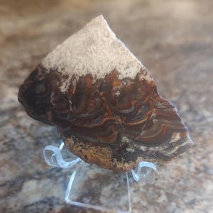 May include: A triangular slice of agate stone featuring concentric bands of deep brown, rust red, and translucent gray, topped with a textured white crystalline crust, displayed on a clear acrylic stand.
