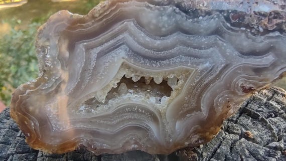 Calandria Agate Picture Stone • Polished Scenic Window • Druzy Geode Reverse (2 5/8")
