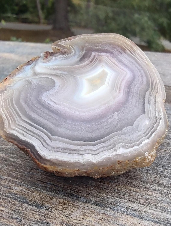 Polished Malawi Agate with Druzy Crystal Band • Natural Chalcedony • Collector Stone (1 3/4")