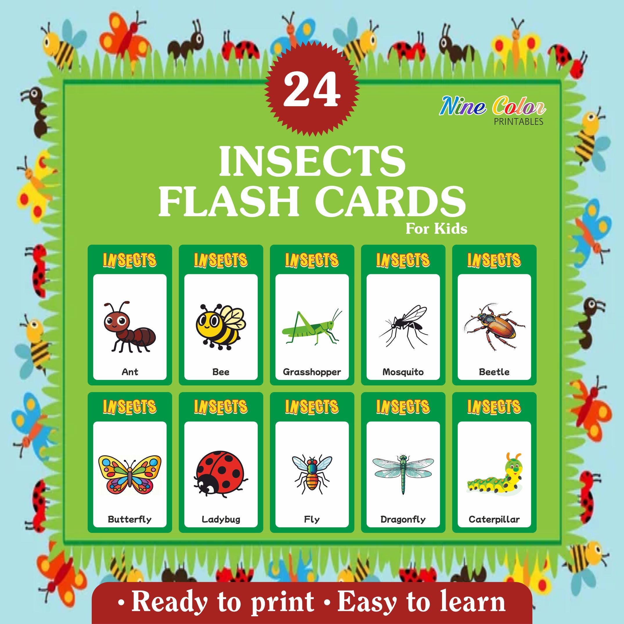 Insects Flashcards, Montessori Learning Cards, Bug Flash Cards (PDF ...