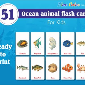 Ocean Animals Flashcards: Montessori Sea Creature Cards (PDF Download)