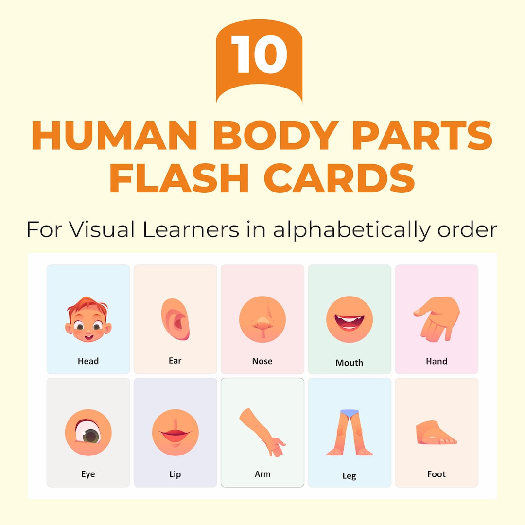 Human Body Parts Flashcards: Montessori Learning Cards (PDF Download ...