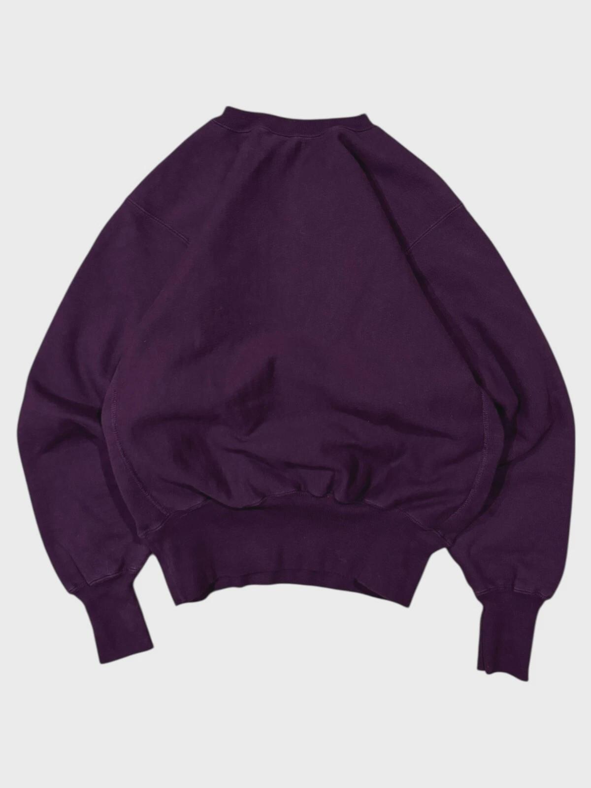 Vintage 1990s Champion Reverse Weave Sweatshirt - Large - Aspen 