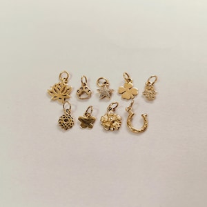 14K geelgouden bedel met ketting – lotus, zeester, pootklauw, klaver, hamsahand, chakra, vlinder, kersenbloesem, hoefijzer