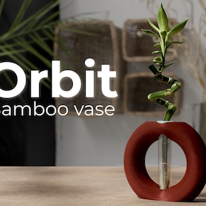 Pode incluir: Um vaso moderno vermelho em forma de anel contém uma planta de bambu verde. O vaso tem um tubo de vidro transparente no interior para conter água. O texto "Orbit Bamboo vase" é exibido em branco.