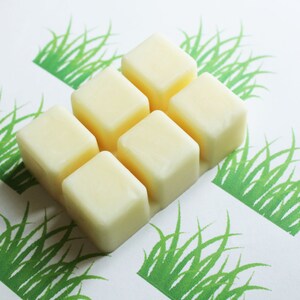 Fresh Cut Grass Scented Melts,  Vegan Soy Wax, Soy Candles, Soy Wax Melts, Soy Tarts