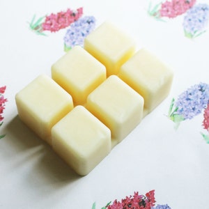 Barbeque Scented Natural Vegan Wax Melts