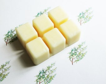 Rosemary Scented Melts,  Vegan Soy Wax, Soy Candles, Soy Wax Melts, Soy Tarts