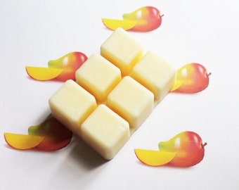 May include: A rectangular wax melt with six square cubes, pale yellow in color. The wax melt is surrounded by mango illustrations with red, yellow, and green hues. The background is white.