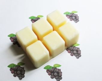 Black Raspberry Vanilla Scented Wax Melts