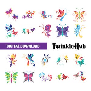 Cute Butterfly SVG, Colour Butterfly SVG Files, Baby Butterfly SVG Layered, Butterfly Files for Cricut, Butterfly Clipart, Butterflies Svg
