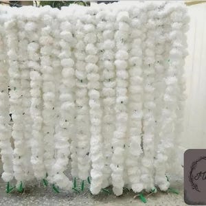 Peut inclure: Un fond de guirlande florale blanche, idéal pour les événements. Le fond est composé de nombreuses petites fleurs blanches duveteuses, suspendues en brins verticaux. Des tiges vertes sont visibles en bas. Un logo est dans le coin inférieur droit.