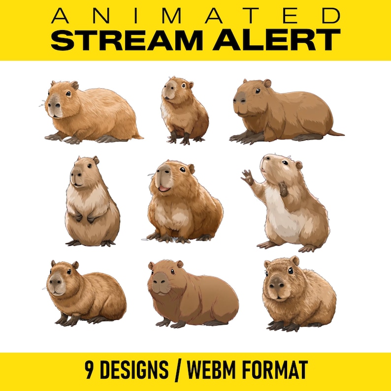 Capybara Animated Stream Alert Pack | Cute Capybara Twitch Overlay ...