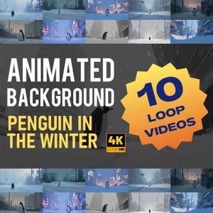 May include: A collection of 10 animated loop videos featuring a penguin in a winter setting. The text "Animated Background" and "Penguin in the Winter" are displayed. The videos are in 4K Ultra HD.