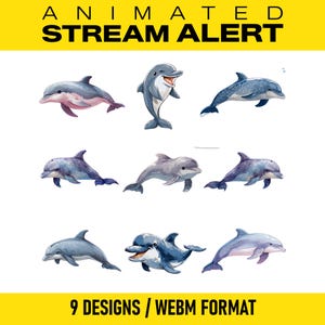 May include: Animated stream alert graphic featuring nine different dolphin designs in a variety of colors. The dolphins are shown in various poses, with the text "9 Designs / WEBM Format" at the bottom and "ANIMATED STREAM ALERT" at the top.