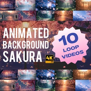 Könnte beinhalten: Ein Bild mit der Aufschrift "Animated Background Sakura" und 10 Loop-Videos. Die Videos zeigen Kirschblüten-Szenen in 4K-Auflösung. Das Bild hat ein rosa-violettes Farbschema.