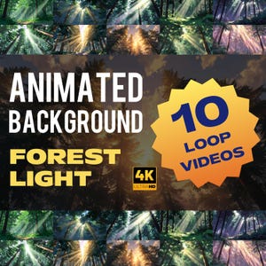 May include: An image featuring an animated forest background with sunlight streaming through the trees. The text reads "ANIMATED BACKGROUND FOREST LIGHT" and "10 LOOP VIDEOS" with a "4K ULTRAHD" logo.