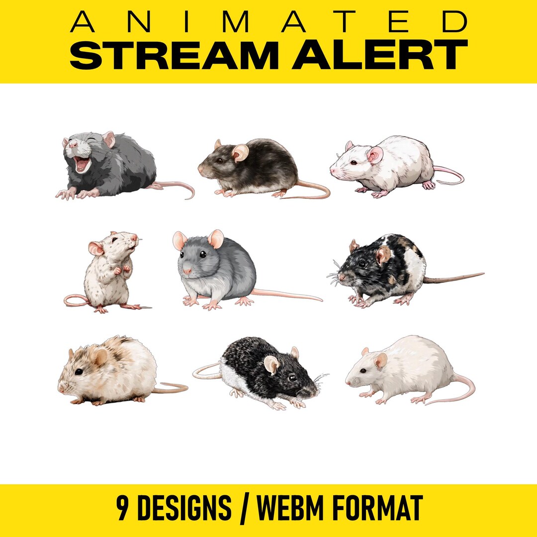 Rodent Man Animation Rat Animated Stream Alert Pack | Cute Mouse Twitch Alert WEBM | Rodent ...