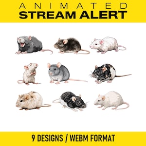 May include: Animated stream alert graphic with nine different rat designs. The rats are in various colors, including gray, black, white, and brown. The text at the top reads "ANIMATED STREAM ALERT" and the bottom text says "9 DESIGNS / WEBM FORMAT."
