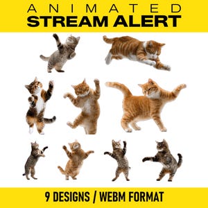May include: Animated stream alert graphic featuring nine cat designs in various poses. The cats are in shades of brown, orange, and gray. Text at the top reads "ANIMATED STREAM ALERT" and at the bottom "9 DESIGNS / WEBM FORMAT."