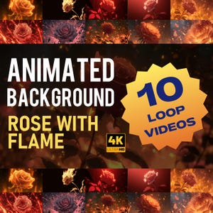 May include: Animated background featuring a rose with flames, available as 10 loop videos in 4K Ultra HD. The image showcases various fiery rose designs in shades of red, orange, and yellow, with a dark background.