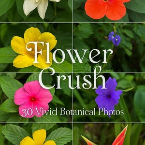 30枚セットの花の写真。デザイナー向け。装飾、結婚式の招待状、洋服、織物、ポストカードカバー、ノート、包装紙、靴、カップ、箱、Tシャツ、ボーナス